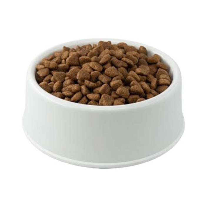 Somonlu Yetişkin Köpek Açık