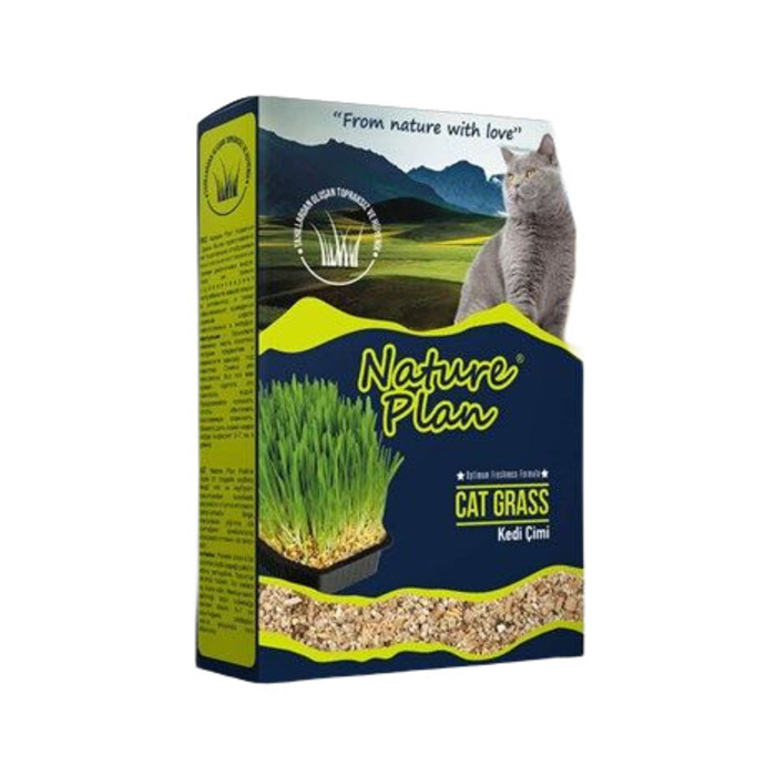 NaturePlan Kedi Çimi