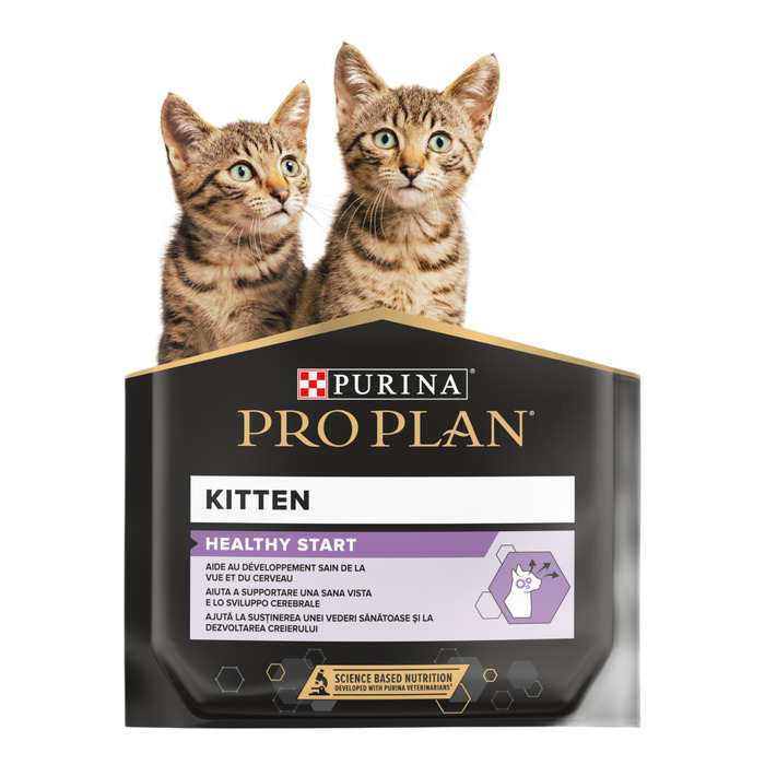 Kitten Hindili Yavru Kedi Konservesi 85 Gr