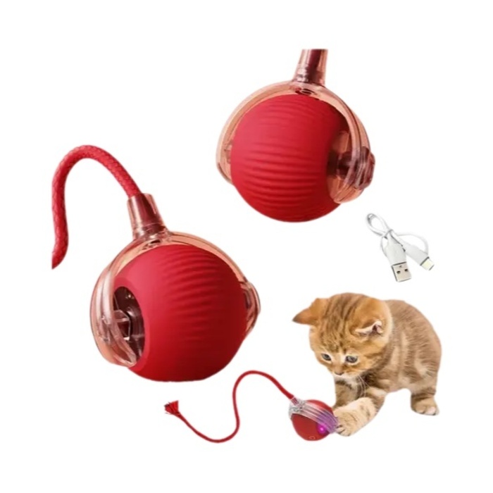 Kedi Oyuncağı
