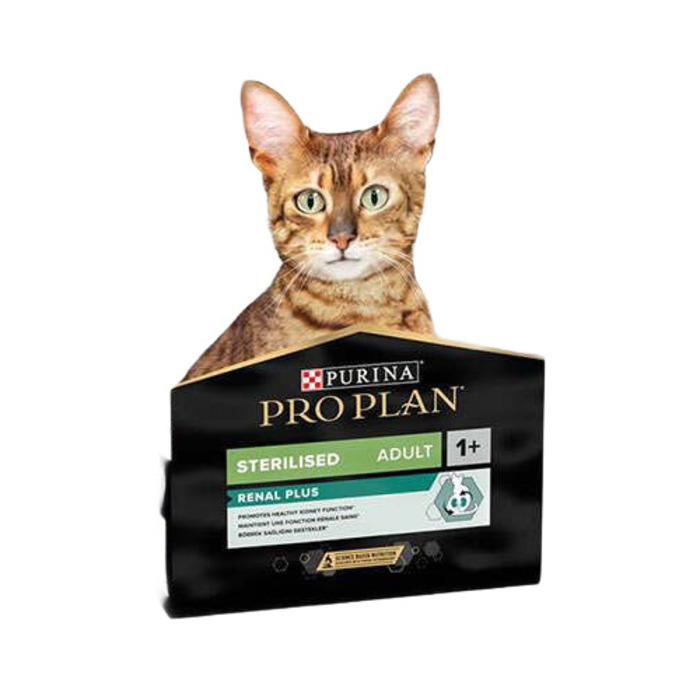Kısır Kedi Somonlu 1 Kg